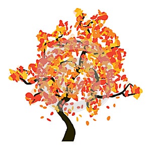 Autumn tree on white background,