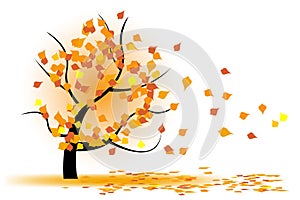 Autumn tree in wind