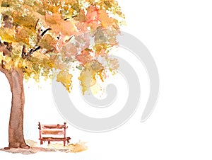Autumn tree with wooden bench