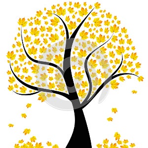 Autumn tree with yellow leaves