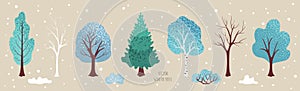 Winter  trees, bush. Set of plants. Cute elements for vector Christmas design, illustration for new year