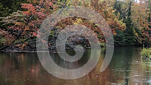 Autumn trees along Dead river in Michigan upper peninsula with reflections seen in the river