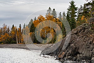 Autumn Trees Along the Rocky Shoreline of Lake Superior at Little Two Harbors