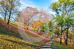 Autumn trees along the stairs in the park leading to the Buda Castle in Budapest, Hungary. Autumn tree branches and foliage. Fall