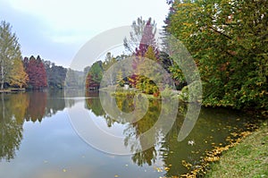 Autumn trees around lake. Fall trees reflected in lake.