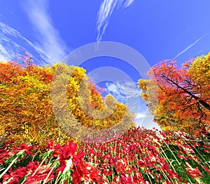 Autumn trees, autumn park, autumn panorama, 3D rendering