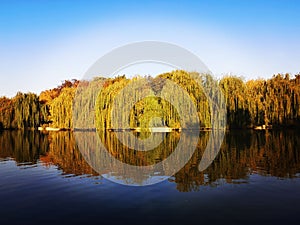 Autumn trees in beautiful colors and blue lake and sky