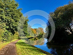 Autumn trees and the bend of the canal
