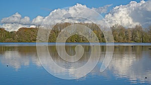 Autumn trees and blue sky with fluffy clouds reflecting in the deep blue water