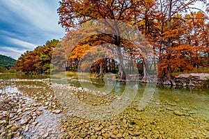 Autumn Trees on the Clear Gravely Frio River, Texas photo