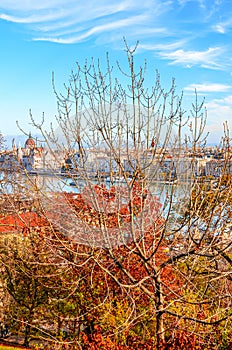 Autumn trees in the foreground with the beautiful cityscape of Budapest, Hungary in the background. Hungarian Parliament Building