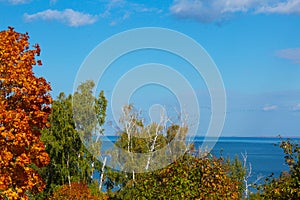 Autumn trees with golden leaves against blue sky with white clouds