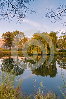 Autumn trees and grasses reflected in water of calm pond at sunset