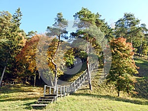 Autumn trees, hill and wooden stair, Lithuania