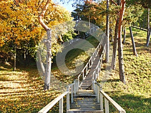 Autumn trees, hill and wooden stair, Lithuania