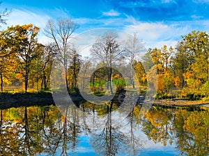 Autumn trees and lake