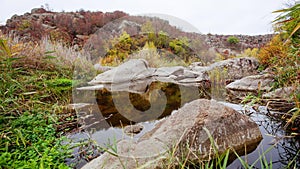 Autumn trees and large stone boulders around. A water cascade in autumn creek with fallen leaves. Water flows around the