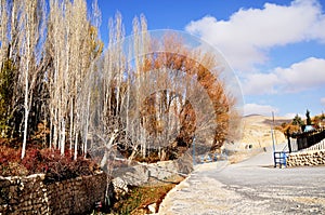 Autumn trees at Maaloula photo