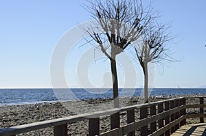 Autumn trees next to litoral path