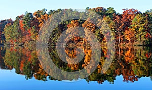 Autumn Trees in North Carolina photo