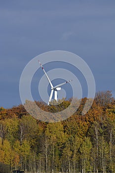 Autumn trees Overview of the wind turbine