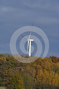 Autumn trees Overview of the wind turbine