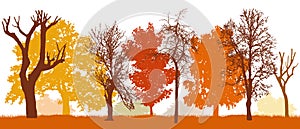 Autumn trees in park silhouette, vector illustration. Bare trees, colorful silhouette of different trees