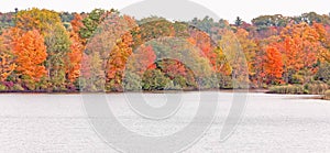 Autumn trees and pond