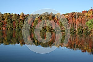 Autumn Trees reflected in blue lake in Fall