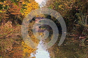 Autumn Trees reflected in the Grand Union Canal