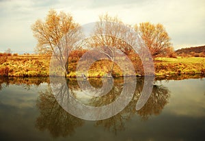 Autumn Trees reflected in lake. Forest photography