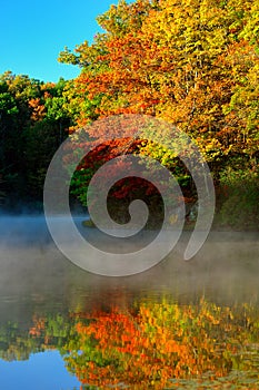 Autumn trees reflected on mist covered Lake