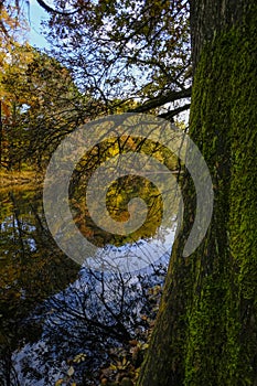 autumn trees reflected in the surface water of the lake in Boschi di Carrega, Emilia-Romagna, Italy photo