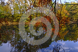 autumn trees reflected in the surface water of the lake in Boschi di Carrega, Emilia-Romagna, Italy photo