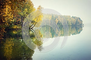 Autumn trees reflecting on lake