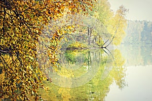 Autumn trees reflecting on lake