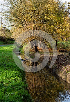 Autumn trees reflecting in the Molenbeek creek, Brussels, Belgium