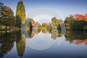 Autumn trees reflecting in a pont