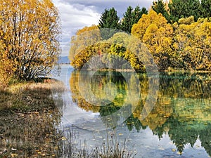 Autumn trees reflecting on the waters of the Lake Ruataniwha on the South Island of New Zealand