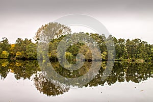 Autumn trees reflection