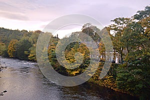 Autumn trees by the river swale photo