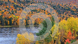 Autumn trees by Riviere Saint Maurice