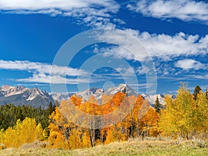Autumn trees and Sawtooth mountain backdrop