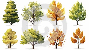 autumn trees, set of vector illustrations of cute trees and shrubs: oak, birch, aspen, linden, fir, sun and dog, different shapes