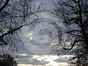 Autumn Trees and sky - Images of Paris 