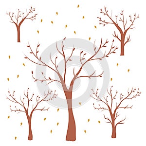 Autumn trees vector Illustration, autumn park trees,