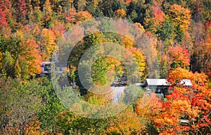 Autumn trees in Vermont near Waterville