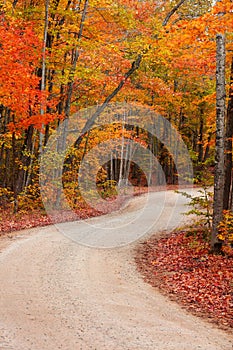 Autumn trees by the winding rural road in Michigan upper peninsula countryside