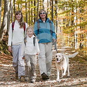 Autumn trek photo