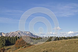 Autumn in Trentino